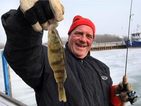 In this January 23, 2013 file photo, Jeff Ternovan holds a jumbo perch reeled in at Lakeview Park Marina.