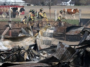 Tecumseh firefighters extinguish smoldering piles of straw following a devastating fire at the Jobin family dairy farm where a fire destroyed a large portion of the operation Tuesday April 19, 2016.