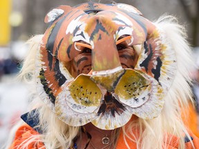 Margaret Daly of Roseville Michigan dawns her home made costume at the home opener for the Detroit Tigers vs New York Yankees at Comerica Park in Detroit, Mich. on Friday, April 8, 2016. The home opener sees thousands of people that show up just for the tailgate party's. The Tigers defeated the Yankees 4-0.