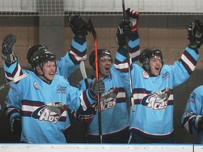 Team members from the United Kingdom Royal Air Force Aces celebrate a goal during a game at the CARHA World Cup on Tuesday, April 5, 2106, at the WFCU Centre in Windsor, Ont. They were defeated by a team from Winnipeg.
