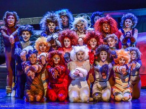 The cast of Cats by Windsor's Theatre Ensemble and Cardinal Music Productions.