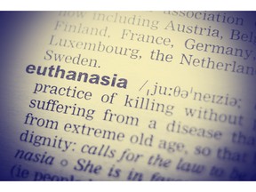Definition of euthanasia in dictionary. Photo by fotolia.com.
