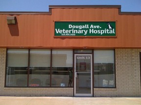 The exterior of Dougall Avenue Veterinary Hospital in Windsor in 2011.