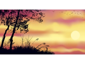 Evening landscape with birds in flight. Image by fotolia.com.