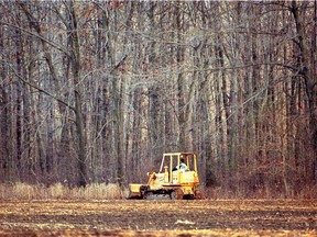 November 11, 1991. A bulldozer clears land on property owned by Emile Walters.  Scott Webster.