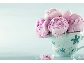 Pink peony flowers in a decorative cup. Photo by fotolia.com.