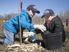 Joey Taylor, 8, and his brother, Lucas Taylor, 4, help plant 2000 trees for Earth Day in East Windsor, Sunday, April 26, 2015.