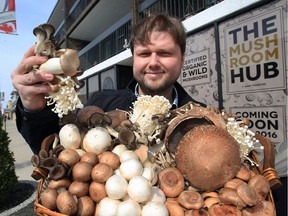 Denis Vidmar, of The Mushroom Hub, will offer an wide variety of mushrooms and mushroom products at his new store at 840 Erie St. E.  The store is scheduled to open in May.