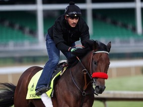 Exercise rider Jonny Garcia takes Nyquist over the track  during training for the Kentucky Derby at Churchill Downs on May 5, 2016 in Louisville, Ky.