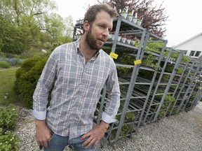 Jeremy Hayes, husband to the late Alison Hayes, organizer of the 2nd annual Allie Sunshine vegetable and plant give away at the Allie Sunshine Healing Garden in Lakeshore, is pictured Saturday, May 21, 2016.  The Allie Sunshine Project is named in honour of Alison Hayes, a teacher who died of cancer in January of 2015.