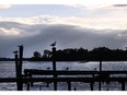AMHERSTBURG, ONT.: (7/16/14) -- A boat drives down the Detroit River, seen from Front Road South in Amherstburg, Wednesday, July 16, 2014. Sub watersheds around Windsor feed into the Detroit River and then into Lake Erie. (RICK DAWES/The Windsor Star)