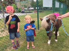 Cael and Camden Braidford check out the horses at Super Hero fun day at John McGivney centre on Sunday, May 29, 2016.