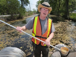Kevin Taylor, an exterminator from Pestalto is shown on Wednesday, May 25, 2016 at the Ojibway Park in Windsor, Ont. Taylor was demonstrating how he collects mosquito larvae for West Nile virus identification. The Windsor-Essex Health Unit held a media conference to remind people of precautions to take to prevent the virus.