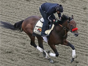 Nyquist works out with exercise rider Jonny Garcia during a morning workout, Thursday, May 19, 2016, in Baltimore.