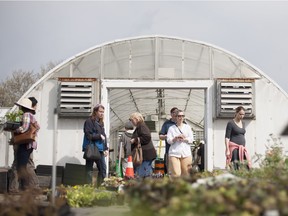 Gardeners celebrate the return of spring at the City of Windsor Parks Annual Perennial Plant Sale at the Lanspeary Park greenhouse, Saturday, May 7, 2016.