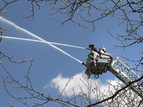 Firefighters with the Windsor Fire and Rescue Service had sunny blue skies to perform aerial truck training on Monday, May 16, 2016. They were drafting water near the Lakeview Park Marina for the training session.