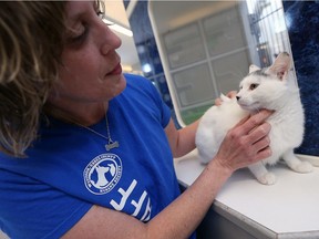 Windsor Essex County Humane Society  executive director Melanie Coulter holds a cat in this May 13, 2016 file photo.