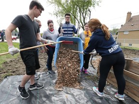 Students from St. Joseph's Catholic High School in Windsor construct a community garden behind the UNIFOR  Labour Centre on Somme Avenue in Windsor on Tuesday, May 17, 2016.