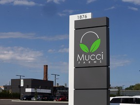 Mucci Farms at 1876 Seacliff Dr., Kingsville, Ont. is pictured on June 6, 2016.