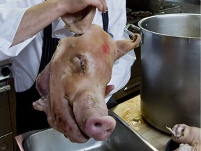 FOOD-HEAD-CHEESE -- MONTREAL, QUEBEC: OCTOBER 21, 2010 -- Laloux chef Seth Gabrielse prepares to simmer a pig's head for head cheese.  (Dave Sidaway / THE GAZETTE)  FOR POSTMEDIA NEWS FOOD PACKAGE, DEC. 10, 2010.