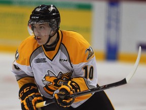 Windsor's Anthony Salinitri, seen here in his playing days with the Sarnia Sting, was handed a six-game suspension by the OHL on Monday for his playing during Game 3 of Saturday's playoff game between his Oshawa Generals and Ottawa 67's.