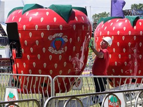 Robert Hughes shines up the ever-popular Berry Go Round Tuesday in LaSalle. It's one of the 30 rides, games and attractions operated by Robertson Amusements during LaSalle's Strawberry Festival, which begins Thursday at Gil Maure Park.