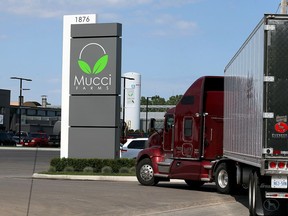 The exterior of Mucci Farms at 1876 Seacliff Dr. in Kingsville, Ont., is pictured on June 6, 2016.