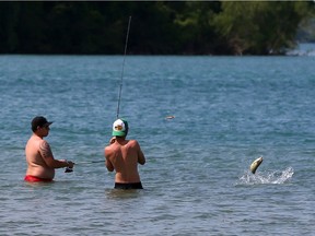 The one that got away:  Angler Aaron Curtis-Atkins, right, has his crankbait thrown by a smallmouth bass on the Detroit River near Sand Point Beach on Thursday, June 2, 2016. Curtis-Aikins almost landed his catch, but it got away while he was fishing with friend Junior Labelle.