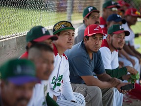 Members of the Leamington Greenhouse baseball team, a team made up of mostly migrant greenhouse workers, watch a play on the field from the dugout as they take on the Harrow Blues senior team at Pollard Park in Harrow, Sunday, July 17, 2016.