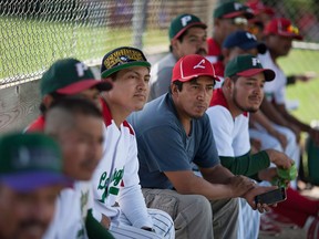 Members of the Leamington Greenhouse baseball team, a team made up of mostly migrant greenhouse workers, watch a play on the field from the dugout as they take on the Harrow Blues senior team at Pollard Park in Harrow, Sunday, July 17, 2016.