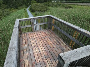 A bird tower at the Petite Cote conservation area is shown on Thursday, July 14, 2016, in LaSalle, Ont. Vandals painted extensive anti-police graffiti  all over the upper and lower decks of the structure.