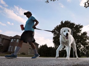 Steban Aguilar walks his dog Marley along the Ganatchio trail in Windsor on Wednesday, July 13, 2016.