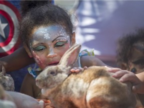 Sacha Hudson, 4, pets a rabbit at the Emancipation Day Celebration at Lanspeary Park, Sunday, August 2, 2015.