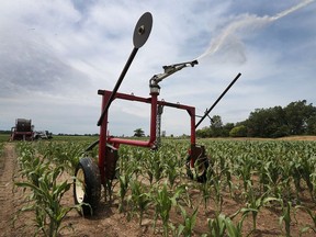 An irrigation system pumps out water on a corn field on Sexton Side Rd. Monday, July 4, 2016.