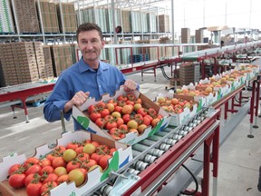 NatureFresh Farms CEO Peter Quiring is shown at the company's Leamington facility in  May 2012.