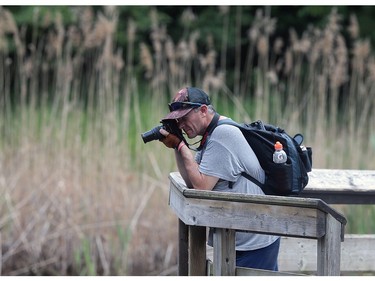 Peter Elsley, a photography enthusiast, is shown at the park on Thursday, July 7, 2016.