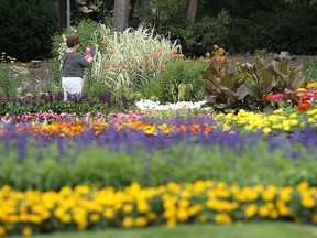 The flower beds at Jackson Park are seen in Windsor on Monday, July 4, 2016.
