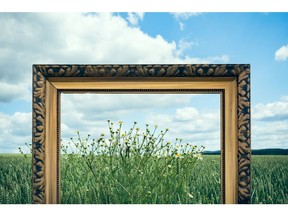 A picture frame in nature. Photo by Getty Images.