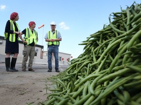 Green beans are seen in the foreground as Kathryn Sullivan, Ontario Chamber of Commerce policy analyst; Matt Marchand, president of the Windsor-Essex Regional Chamber of Commerce; and John Landschoot, plant operations manager at Bonduelle Foods- Tecumseh, take a tour of the Bonduelle Foods plant in Tecumseh on July 26, 2016.