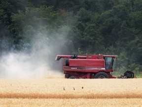 A farmer kicks up dust while harvesting wheat on Lakeshore Road 113 on Monday, July 4, 2016. The area has been suffering from a lack of rain for more than a month.