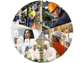 Among the in-demand job  sectors in Windsor- Essex identified by Rakesh Naidu, chief operating officer at WindsorEssex Economic Development Commission, are: (clockwise, from top right) manufacturing, construction, agri-business and food, life sciences and transportation and logistics.