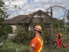 Crews work to clear large debris on Riberdy Road Aug. 25, 2016, a day after a tornado touched down in the neighbourhood.