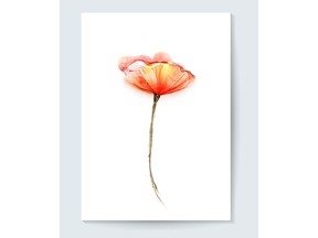 Watercolor painting of poppy flower. Image by Getty Images.