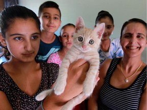 Simba, the orphaned cat from Lebanon, is held by Noor Ibrahim, 13, left, after the kitten was adopted by the Machhour-Ibrahim family and flown across the world to live in Forest Glade, Monday August 29, 2016. Joining Noor were siblings, Nader, 11, Lena, 7, Zena, 12, and their mother Nada Machhour, right.