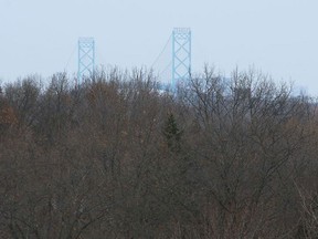 The towers of the Ambassador Bridge are seen behind a blanket of trees that cover Windsor on Wednesday, November 19, 2014. (TYLER BROWNBRIDGE/The Windsor Star)