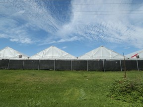 A view of the greenhouse facilities at 1935 Fox Run Rd. in the Leamington area, where OPP raided a "large-scale illegal marijuana grow operation" on Sept. 21, 2016.