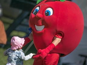 Ruthy the Apple greets a visitor to the Ruthven Apple Festival in 2015