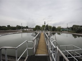 If the wind blows in the right direction, the odour emanating from the Lou Romano Water Reclamation Plant can challenge the senses.