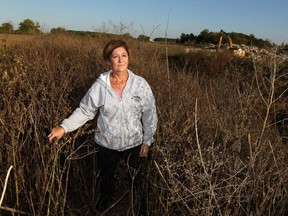 Janet Moore stands on top of an eight-foot high berm on Oct. 4, 2016. The bern was built on her parents' farm on Howard Avenue in Amherstburg by the Jones Group, which recently gained approval to build a disposal site on their own land, shown behind.