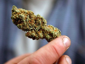 A marijuana bud in Portland, Maine, is shown in this October 2009 file photo.